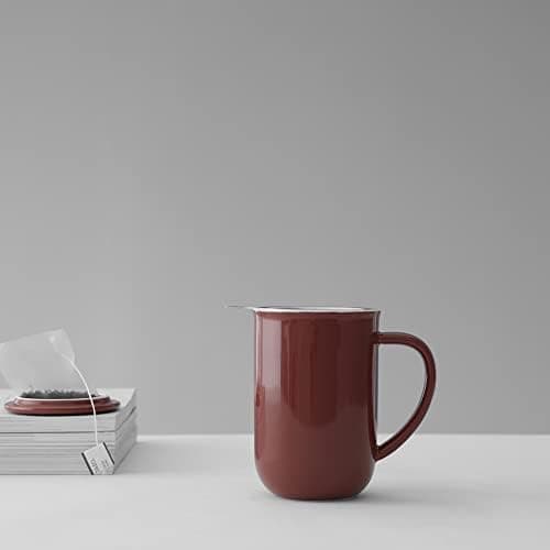 Viva Scandinavia Teetasse Glas Doppelwandig für Thermoglas und Tee-Verfeinerung, mit Edelstahl-Sieb und Bambus-Holz-Deck