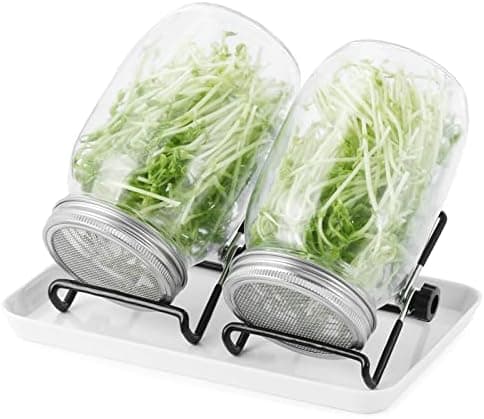 Sprossenglas Set 2er-Set 1000ml Keimglas mit Deckeln und Haltern und Schalen für Sprossenzucht und Keimung von Samen