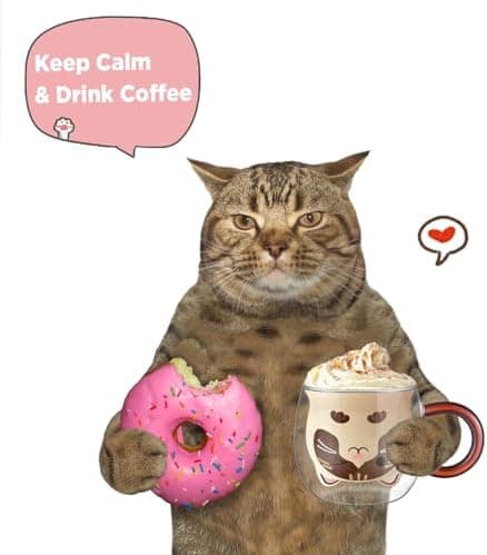 Ecooe Katzen Tasse Süße Doppelwandige Gläser Geburtstag Geschenke für Frauen