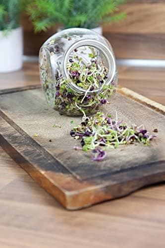 FLORTUS Keimglas mit Edelstahlgitter für Sprossen Anzucht - 11cm x 7cm x 10cm - Keimglas für sproffen Sprossen ziehen -