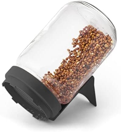 Sprossenglas Set FLORTUS 720ml frische Keimsprossen Anzucht - Sprossen Anzuchtset mit Siebdeckel & Ständer für leckere M