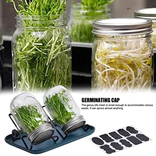 Sprossenglas Keimglas 2er Set - Anzuchtset Für Köstliche Frische Sojasprossen und Micro-Greens mit 1 Wasserschale und 2