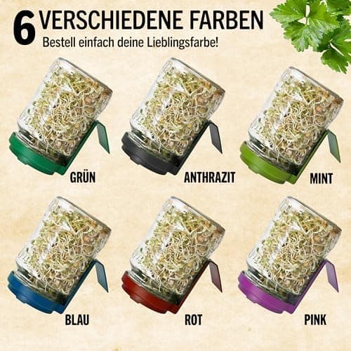 Sprossenglas Set (2er Set) + Bio Sprossen Samen (6 x Teil) inkl. Keimglas (Anthrazit) EU Organic