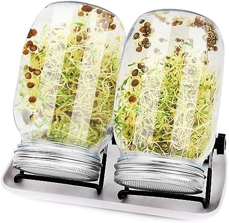 Sorliva Sprossenglas Keimglas 2er Set 1000ML Keimgerät mit Deckel Ständer und Abtropfschale Microgreen Alfalfa Samen