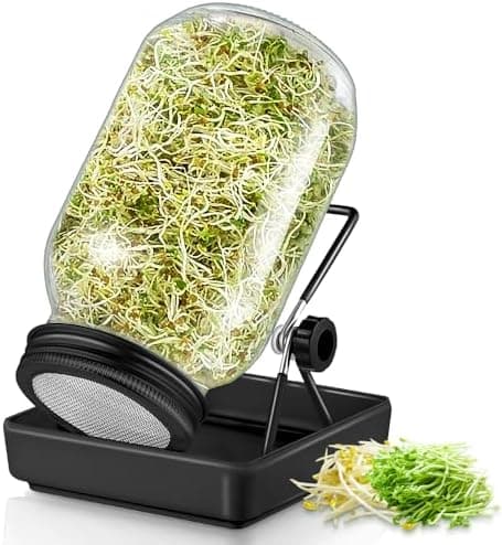 Ecooe Sprossen Keimglas 1er Set Schwarz Wasserspeicherung und Filtrierung für Sprossenkeimung Edelstahl 304 Filtergitter