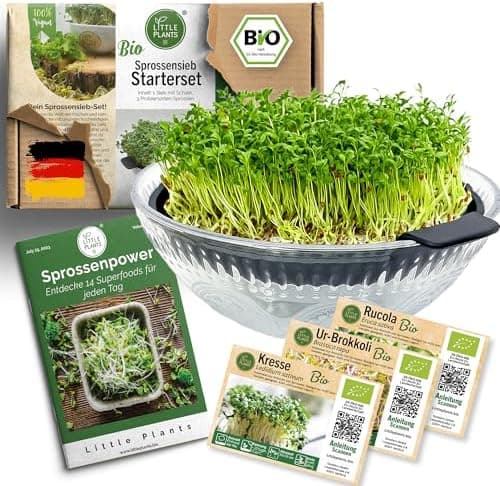 Sprossenglas Set (2er Set) + Bio Sprossen Samen (6 x Teil) inkl. Keimglas (Anthrazit) EU Organic