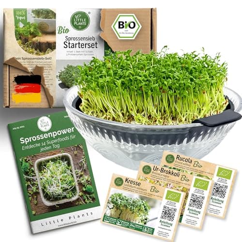 Sprossenglas Set (2er Set) + Bio Sprossen Samen (6 x Teil) inkl. Keimglas (Anthrazit) EU Organic