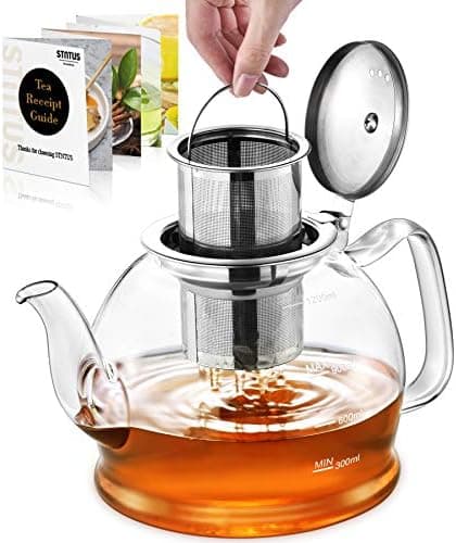 STNTUS 120ml Glaskanne mit Sieb - Ideal für Teeliebhaber im Zuhause und im Büro - Hitzebeständiger Teespender aus Boros