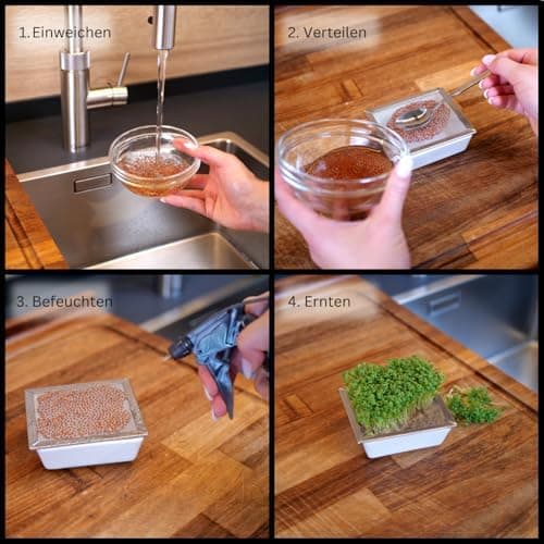 Hochwertiges Sprossenglas Keimglas Set Bambus – für Sprossenkeime – inkl. Deckel & Anleitung – Keimglas 2er Set