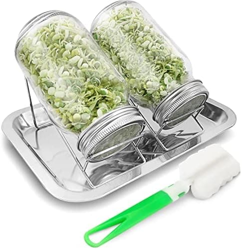 Edelstahlständer Sprossenglas 750ml Keimglas 2er-Set Reinigungsbürste inkl., ideal für Brokkoli-Samenpflege