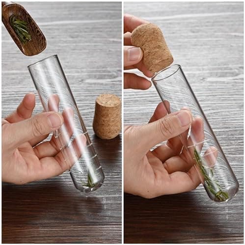 Borosilikatglas Teegläser Set für Heiß- und Kaltgetränke
| Teesieb Gläser 500ml mit Henkel und Deckel, perfekt für Tee