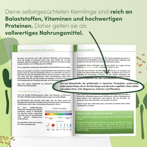 Sprossenglas Keimglas 2er Set 1000ml mit Edelstahl-Gitterdeckel für Haus und Garten bei GRATIS Ständer [Druckversion]