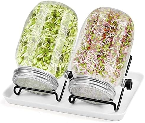 Diealles Shine Sprossen Keimglas 2 x 950ml für Sprossenzüchter mit Edelstahlfilter und Einstellbarer Halterung