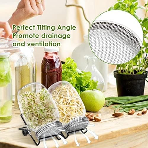 Keimglas Sprossenglas 2er Set 950ML Weiß Einsatzbereich Kresse Alfalfa Brokkoli Mungobohnen 2 Einstellbare Halterung Dri