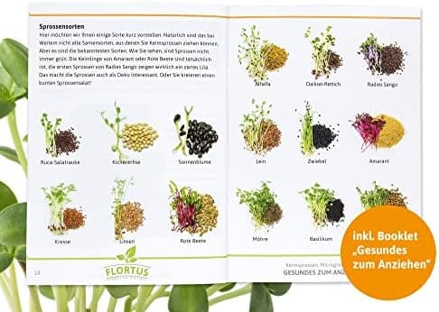 Sprossenglas Set FLORTUS 720ml frische Keimsprossen Anzucht - Sprossen Anzuchtset mit Siebdeckel & Ständer für leckere M
