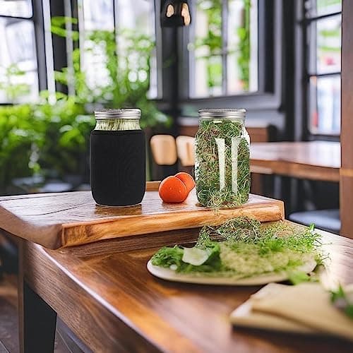 Edelstahl Sprouting Jar Glas 2er Set mit Filtergitter und Ständer,ideal für Microgreens-Zucht