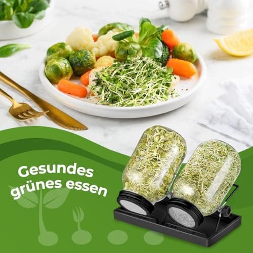 Ecoe Keimgläser Sprossen Keimglas 2er Set Edelstahl Filter Wasserschale Sprouting Jar
