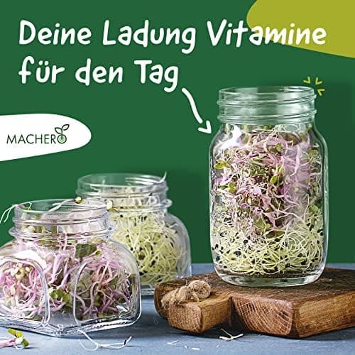 Edelstahlständer Sprossenglas 750ml Keimglas 2er-Set Reinigungsbürste inkl., ideal für Brokkoli-Samenpflege