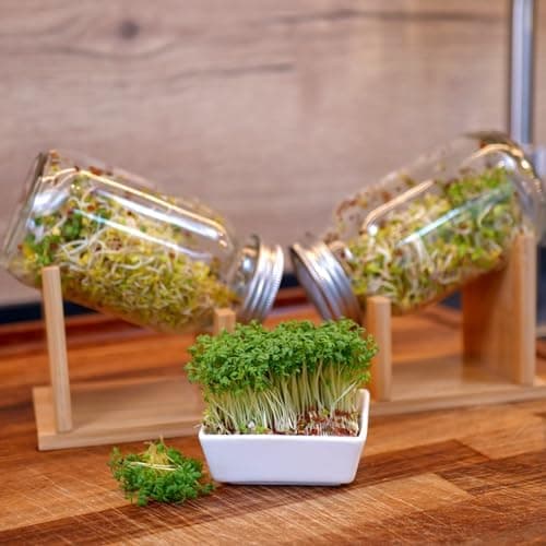 Hochwertiges Sprossenglas Keimglas Set Bambus – für Sprossenkeime – inkl. Deckel & Anleitung – Keimglas 2er Set