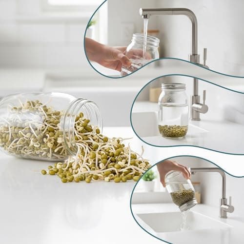 Relaxdays Sprossenglas 2er Set, klar/Schwarz für Sprossenanzucht, ideal für Hobbyanbeter in der Küche