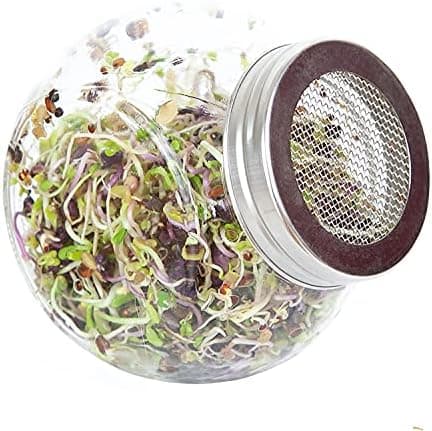 FLORTUS Keimglas mit Edelstahlgitter für Sprossen Anzucht - 11cm x 7cm x 10cm - Keimglas für sproffen Sprossen ziehen -