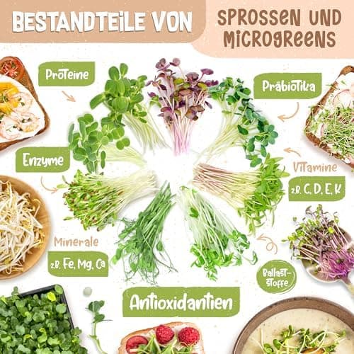 Bio Sprossen Anzuchtset – USDA Organic EU Organic – Sprossenglas 1er, 2er oder 3er Set – Enthält Keimglas, Anzuchtschale