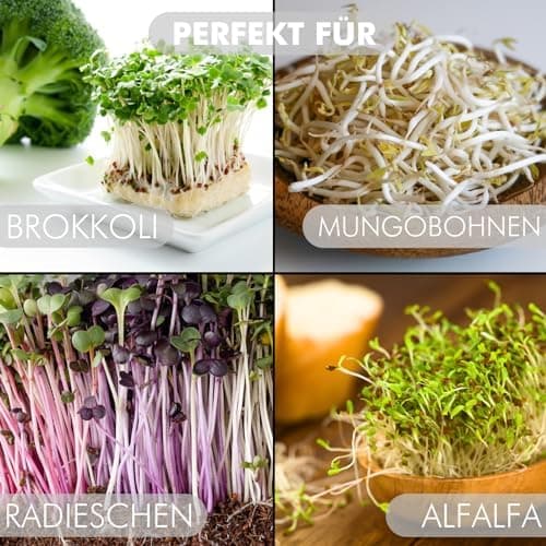 Sprossenglas Starter-Set 2er Keimglas Set 750ml für Kräuter & microgreens I Inkl. Siebdeckel, Abtropfschale, Verdunklung