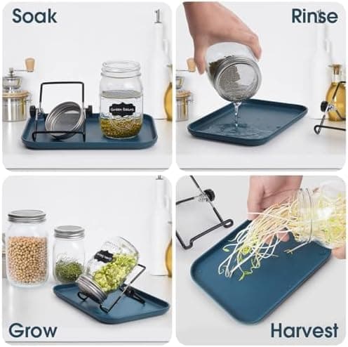 Sprossenglas Keimglas 2er Set - Anzuchtset Für Köstliche Frische Sojasprossen und Micro-Greens mit 1 Wasserschale und 2