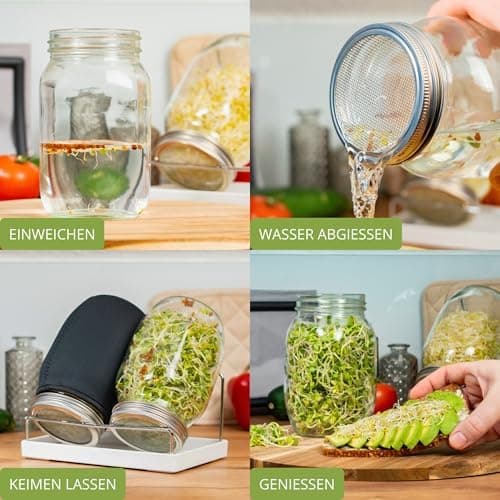 Westmark Sprossenglas Keimglas Set 2 STK - Edelstahl-Sieb & Abtropf - Für Sprossen & Microgreens - 950 ml