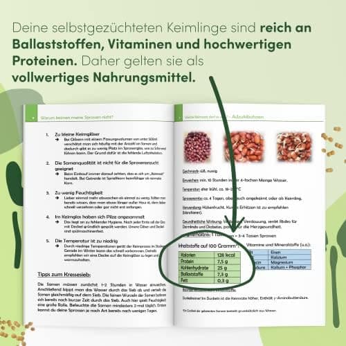 Sprossenglas Keimglas 2er Set 1000ml mit Edelstahl-Gitterdeckel für Haus und Garten bei GRATIS Ständer [Druckversion]