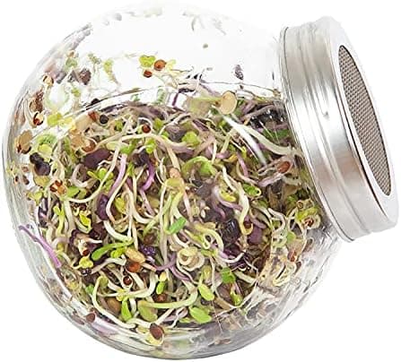FLORTUS Keimglas mit Edelstahlgitter für Sprossen Anzucht - 11cm x 7cm x 10cm - Keimglas für sproffen Sprossen ziehen -