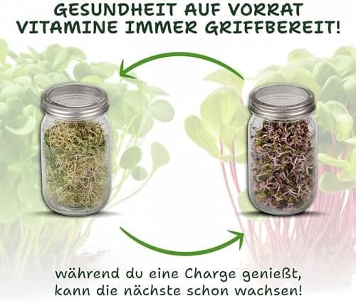 Bio Sprossengläser 950ml | Safe Coating & Keramikschale - Keimfreies Sprossen Ziehen für Anfänger und Fortgeschrittene |