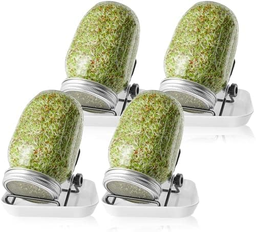 Sprossenglas Set 4er-Set 1000ml Keimglas mit Deckeln und Haltern und Schalen für Sprossenzucht und Keimung von Samen (4)