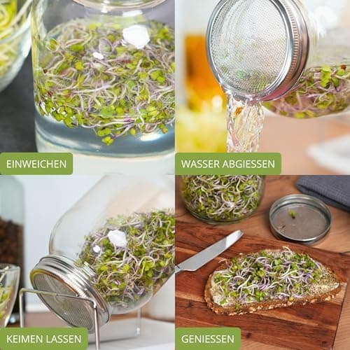 Westmark Sprossenglas Keimglas Set 2 STK - Edelstahl-Sieb & Abtropf - Für Sprossen & Microgreens - 950 ml