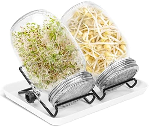Keimglas Sprossenglas 2er Set 950ML Weiß Einsatzbereich Kresse Alfalfa Brokkoli Mungobohnen 2 Einstellbare Halterung Dri
