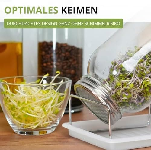 Westmark Sprossenglas Keimglas Set 2 STK - Edelstahl-Sieb & Abtropf - Für Sprossen & Microgreens - 950 ml