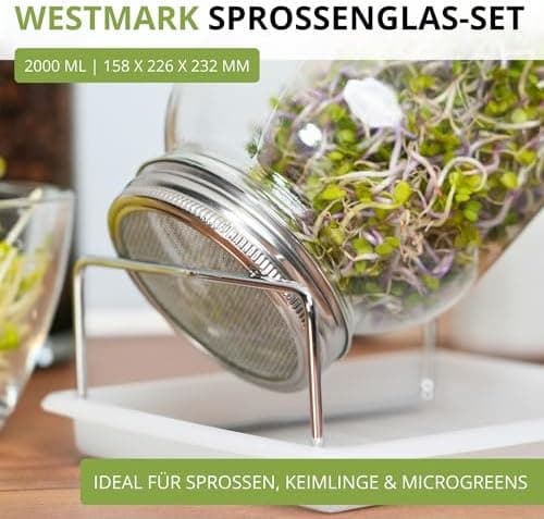 Westmark Sprossenglas Keimglas Set 2 STK - Edelstahl-Sieb & Abtropf - Für Sprossen & Microgreens - 950 ml