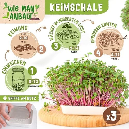 Bio Sprossen Anzuchtset – USDA Organic EU Organic – Sprossenglas 1er, 2er oder 3er Set – Enthält Keimglas, Anzuchtschale