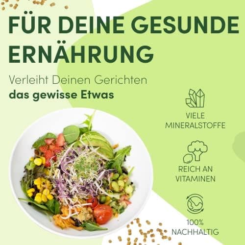 Sprossenglas Keimglas 2er Set 1000ml mit Edelstahl-Gitterdeckel für Haus und Garten bei GRATIS Ständer [Druckversion]