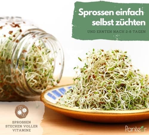 Sprossenglas Keimglas 940ml Premium Edelstahl Deckel - Für Sprossen & Sprossenzucht - Keimglas mit Keramikschale und Met