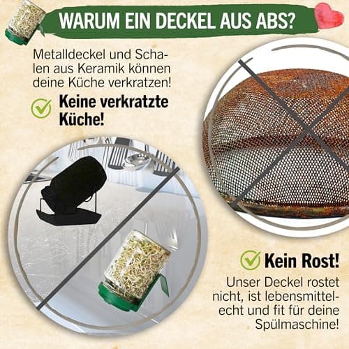 Sprossenglas Set (2er Set) + Bio Sprossen Samen (6 x Teil) inkl. Keimglas (Anthrazit) EU Organic