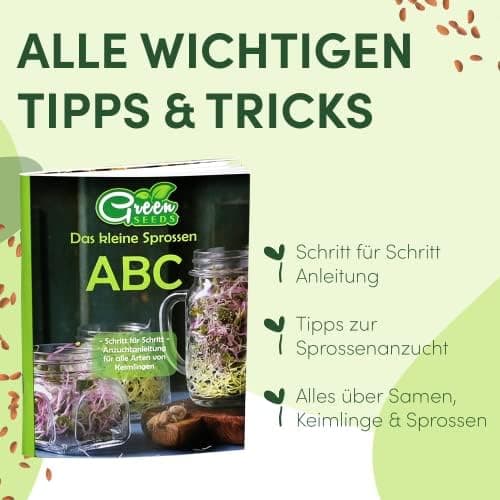 Original Sprossenglas 2er Set + KRESSESIEB + Saatgut-Set - Hochwertiges Edelstahl-Gitter, Ständer und Keramikschale [USA