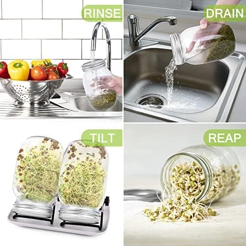 Sorliva Sprossenglas Keimglas 2er Set 1000ML Keimgerät mit Deckel Ständer und Abtropfschale Microgreen Alfalfa Samen