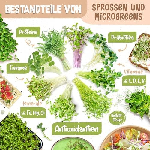 Bio Sprossen Anzuchtset – USDA Organic EU Organic – Sprossenglas 1er, 2er oder 3er Set – Enthält Keimglas, Anzuchtschale