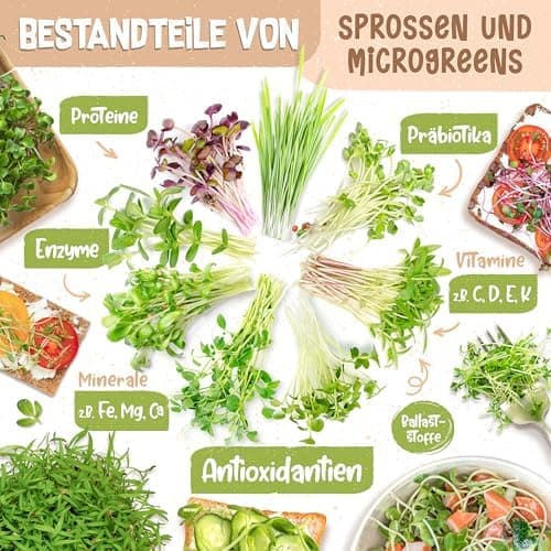Bio Sprossen Anzuchtset – USDA Organic EU Organic – Sprossenglas 1er, 2er oder 3er Set – Enthält Keimglas, Anzuchtschale