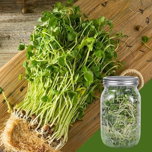 2er-Pack Keimglas Sojasprossen, 1000-ml-Keimglas mit 2 verstellbaren Ständern, Samenkeimgläser
