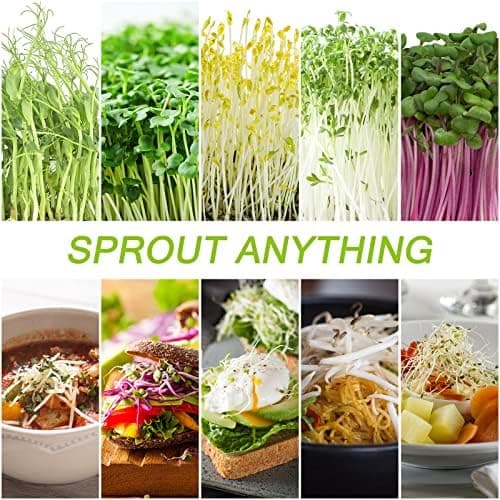 Sorliva Sprossenglas Keimglas 2er Set 1000ML Keimgerät mit Deckel Ständer und Abtropfschale Microgreen Alfalfa Samen