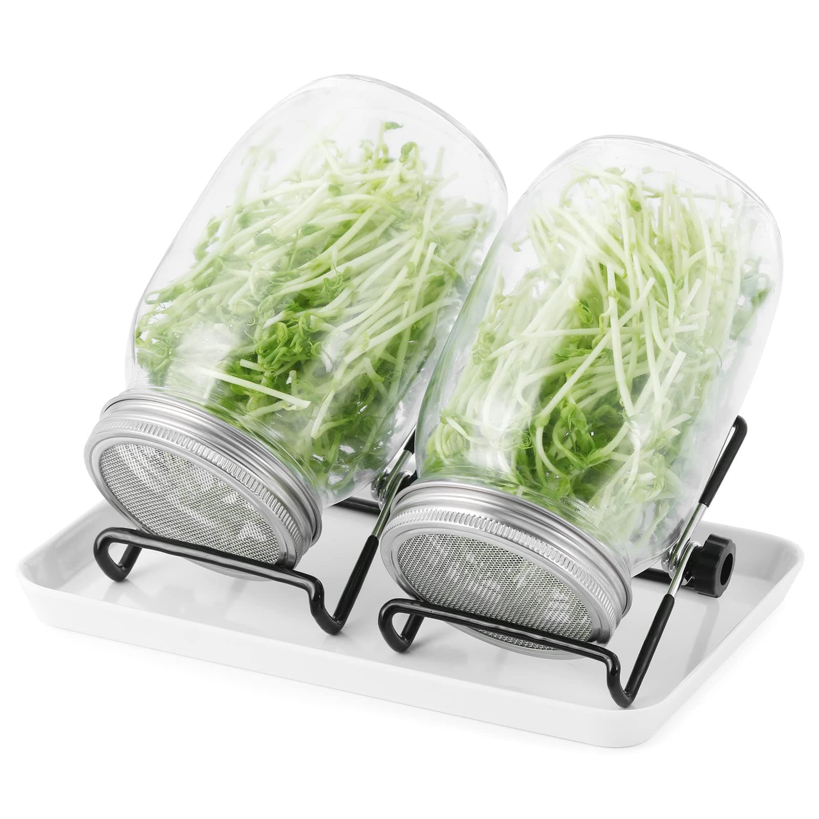 Sprossenglas Set 2er-Set 1000ml Keimglas mit Deckeln und Haltern und Schalen für Sprossenzucht und Keimung von Samen