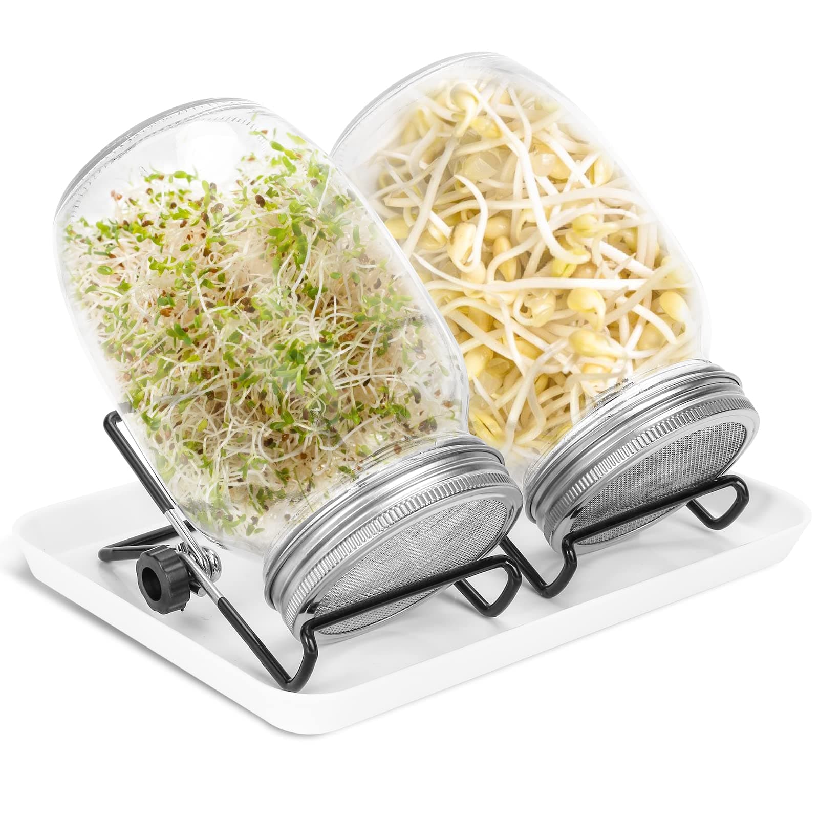 Keimglas Sprossenglas 2er Set 950ML Weiß Einsatzbereich Kresse Alfalfa Brokkoli Mungobohnen 2 Einstellbare Halterung Dri