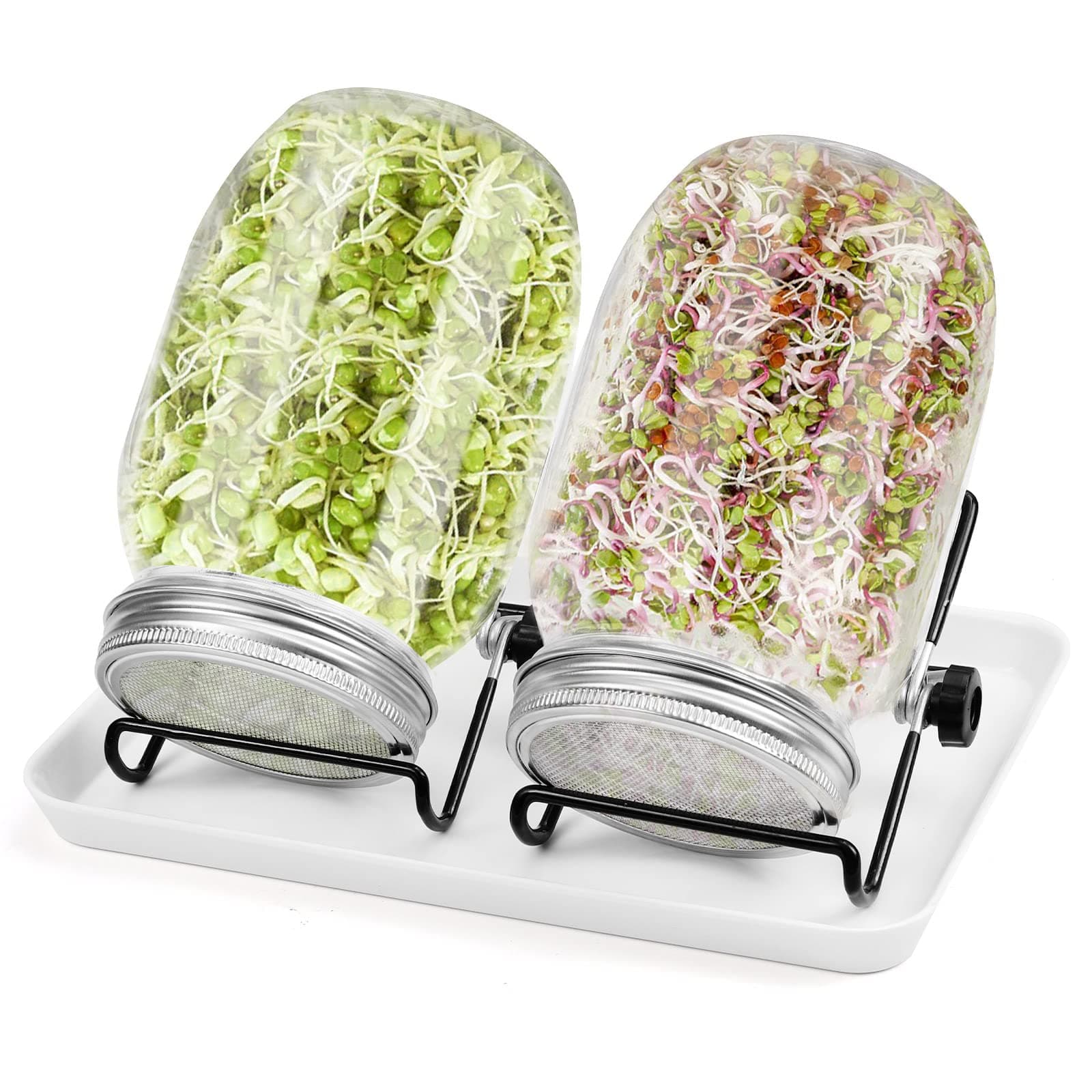 Diealles Shine Sprossen Keimglas 2 x 950ml für Sprossenzüchter mit Edelstahlfilter und Einstellbarer Halterung